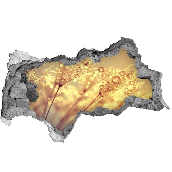 Sticker mural effet trou 3d Prairies dorées au soleil