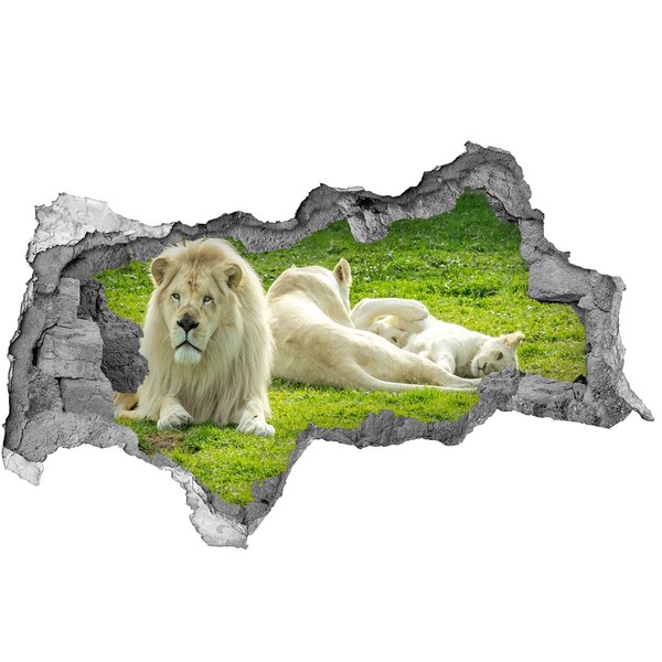 Sticker trou dans le mur Lion blanc dans son habitat naturel