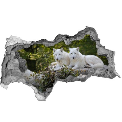 Autocollant mural trou Loups arctiques dans leur habitat naturel