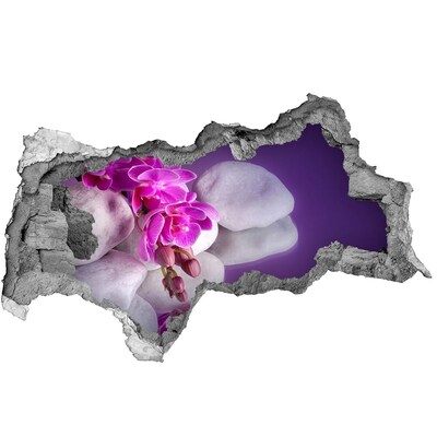 Sticker mural effet trou 3d Orchidées sur fond de pierres