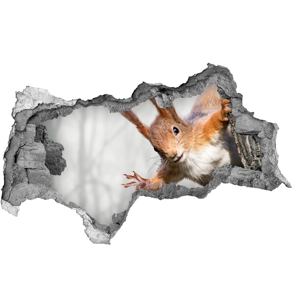 Autocollant mural trou Écureuil en action
