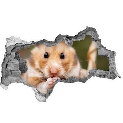 Autocollant mural trou Hamster dans un trou transparent dans le mur
