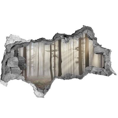 Autocollant à effet 3d trou Forêt brumeuse dans la lumière du matin