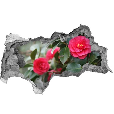 Sticker mural effet trou 3d Jardin de fleurs en béton