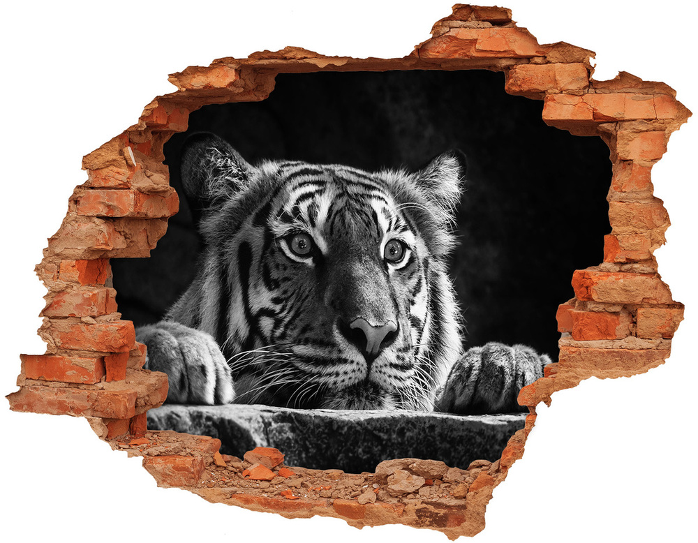 Sticker mural effet trou Tigre brique