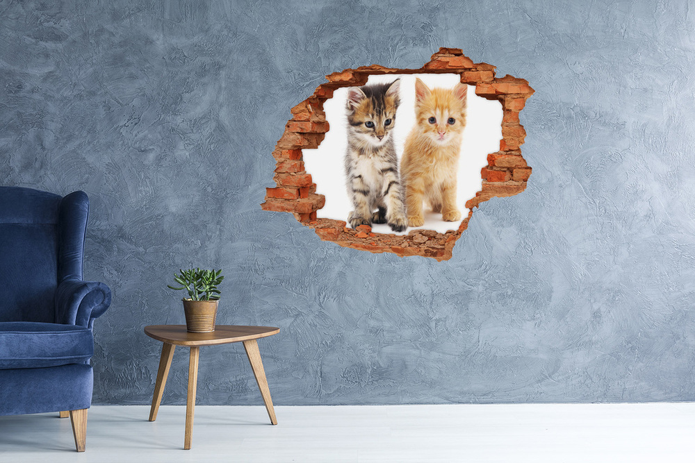 Sticker mural effet trou Chat brun et rouge brique