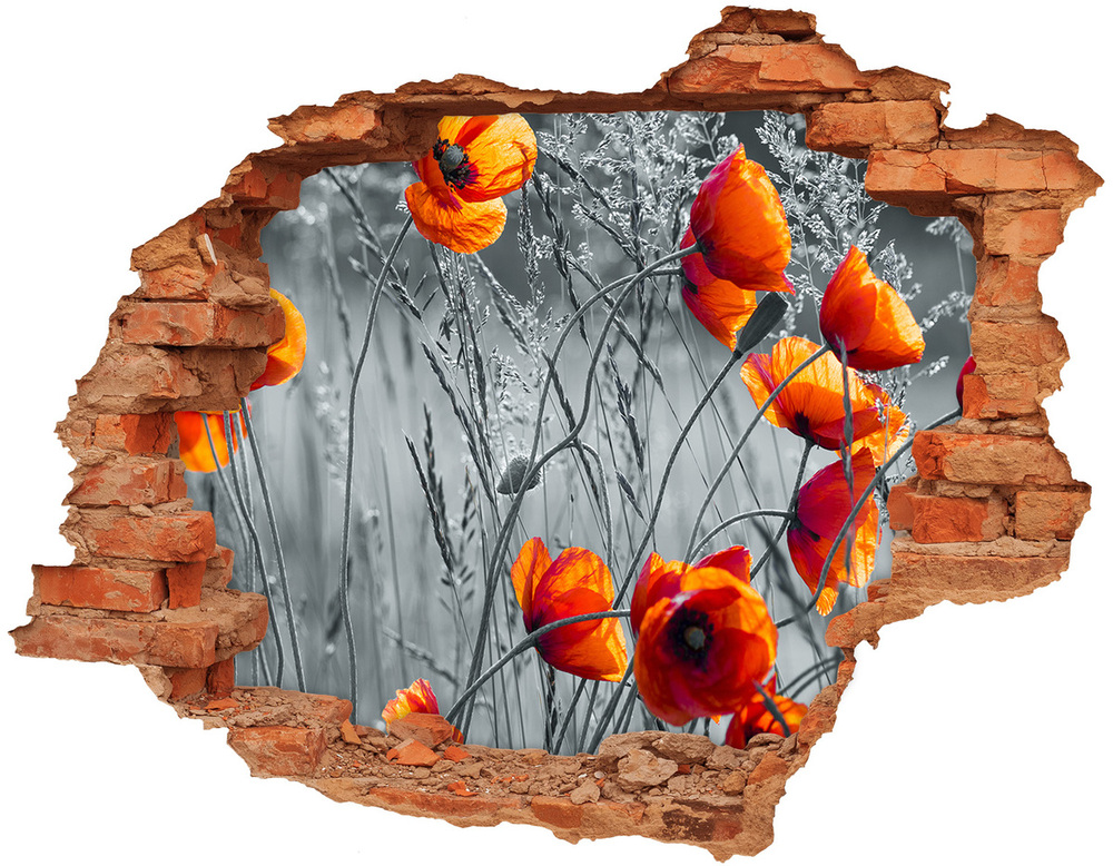 Autocollant à effet 3d trou Coquelicots de terrain brique