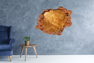 Autocollant mural trou Trou doré dans le mur