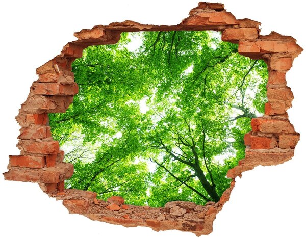 Autocollant à effet 3d trou Forêt verte dans un trou dans le mur
