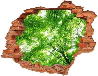 Autocollant à effet 3d trou Forêt verte dans un trou dans le mur
