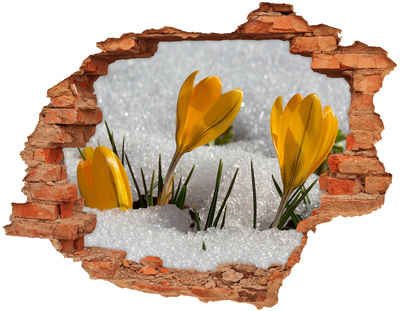 Autocollant à effet 3d trou Crocus dans la neige brique