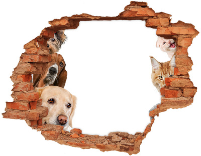 Sticker mural effet trou Chiens et chats brique