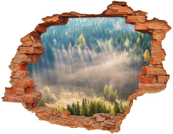 Autocollant à effet 3d trou Paysage forestier derrière le mur