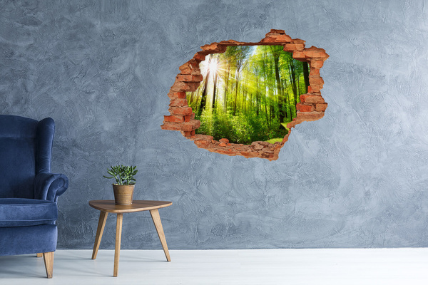 Sticker mural effet trou Forêt verte baignée de soleil