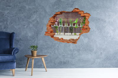 Sticker trou dans le mur Une oasis de verdure dans des bocaux en verre