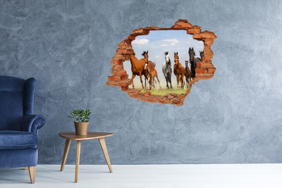 Sticker mural effet trou Chevaux au galop dans le pré