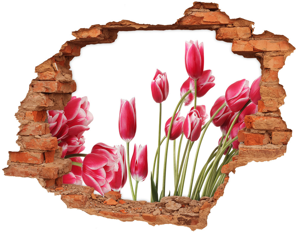 Sticker mural effet trou Tulipes rouges brique