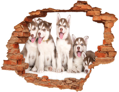 Sticker mural effet trou Chiots husky brique