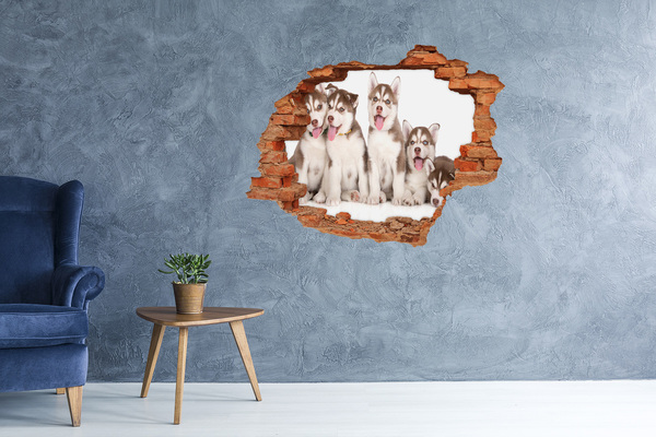 Sticker mural effet trou Des chiots husky derrière un trou dans le mur