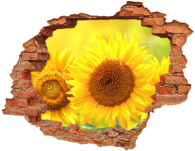 Autocollant mural trou Tournesols fleurs brique