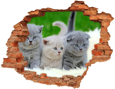 Autocollant mural trou Trois chats sur la couverture brique