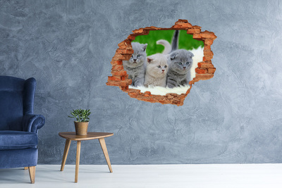 Autocollant mural trou Trois chats sur la couverture brique