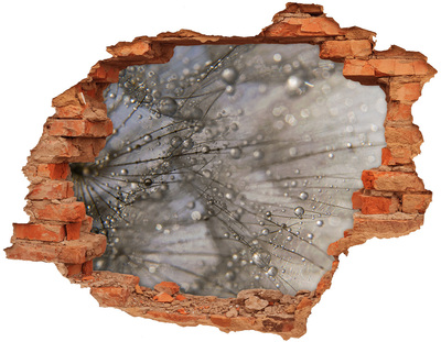 Autocollant mural trou Gouttes d'eau sur le verre