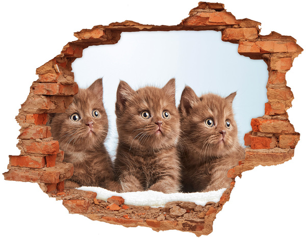 Autocollant à effet 3d trou Des chatons derrière le mur
