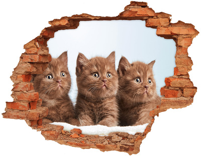 Autocollant à effet 3d trou Des chatons derrière le mur