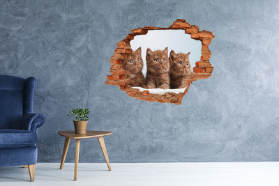 Autocollant à effet 3d trou Des chatons derrière le mur