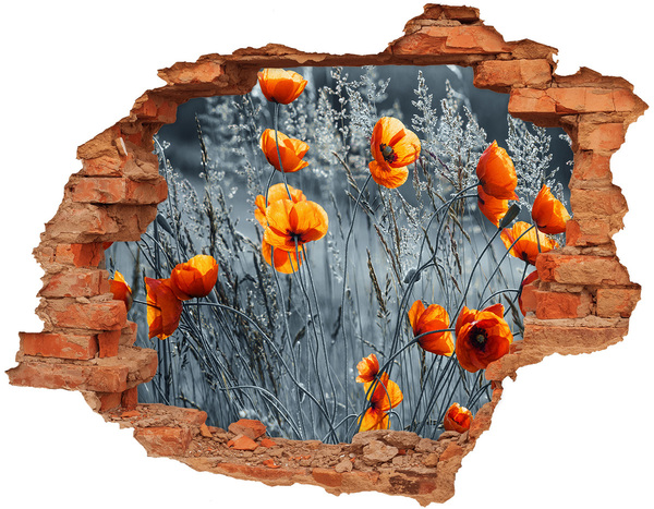 Autocollant à effet 3d trou Des fleurs dans un trou dans le mur