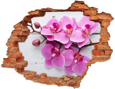 Sticker mural effet trou Des orchidées fleurissent à travers un trou dans le mur