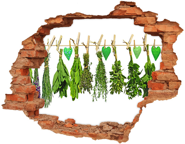 Autocollant à effet 3d trou Jardin d'herbes aromatiques caché dans un mur