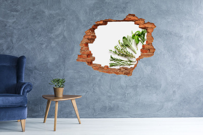 Sticker mural effet trou Herbes brique