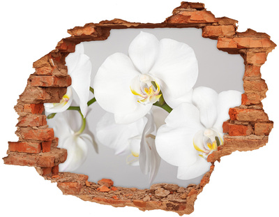 Autocollant mural trou Orchidée blanc brique