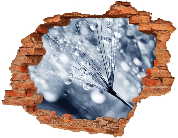 Sticker mural effet trou Des gouttes de rosée tombent sur un pissenlit