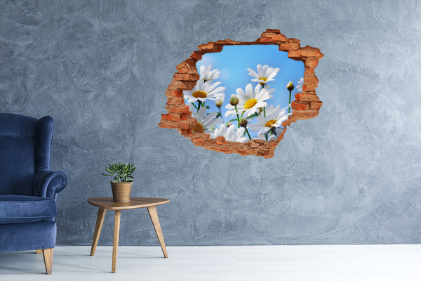 Sticker trou dans le mur Marguerite fleur brique