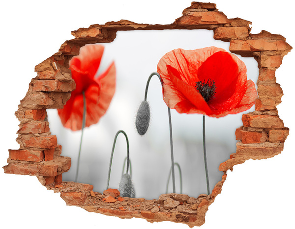 Autocollant mural trou Des fleurs dans un trou dans le mur