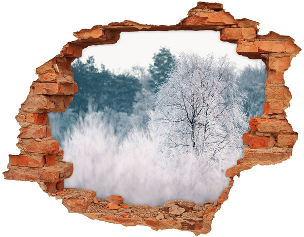 Autocollant à effet 3d trou Paysage d'hiver derrière le trou dans le mur