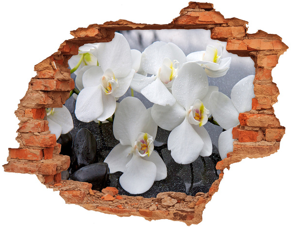 Autocollant à effet 3d trou Orchidées blanches brique