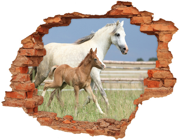 Sticker trou dans le mur Des chevaux dans le pré