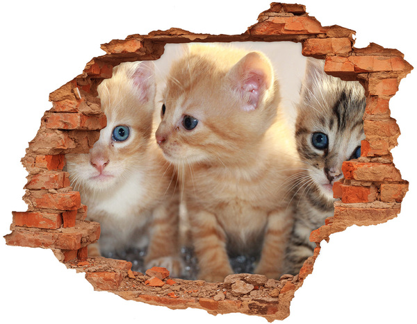 Autocollant à effet 3d trou Des chatons dans un trou dans le mur