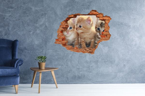 Autocollant à effet 3d trou Des chatons dans un trou dans le mur