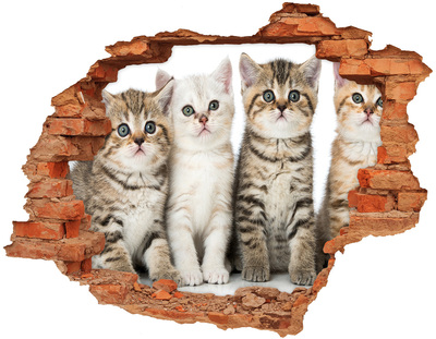 Autocollant à effet 3d trou Le trio de chats derrière le trou dans le mur