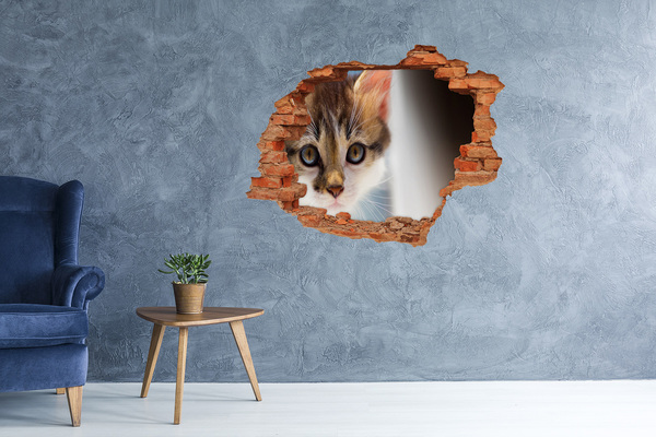 Sticker mural effet trou Chat dans un trou dans le mur