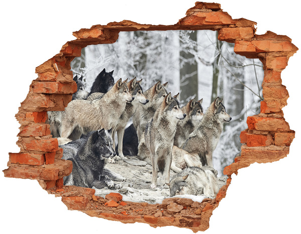 Autocollant à effet 3d trou Les loups dans leur habitat naturel
