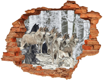 Autocollant à effet 3d trou Les loups dans leur habitat naturel