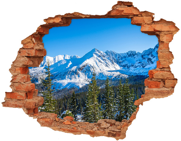 Sticker mural effet trou paysage de montagne hivernal