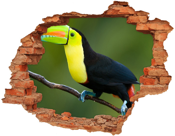 Sticker mural effet trou Toucan dans une forêt tropicale