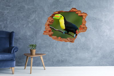 Sticker mural effet trou Toucan dans une forêt tropicale